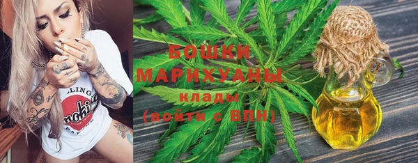 крисы Вяземский