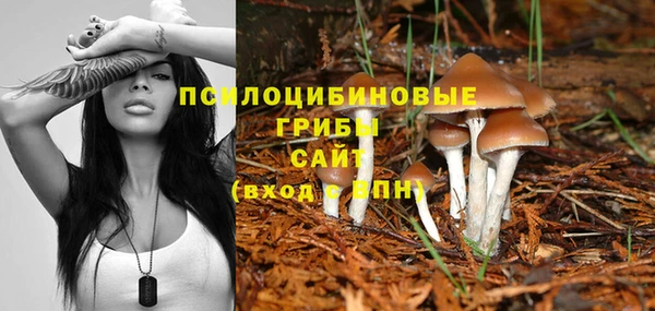 крисы Вяземский